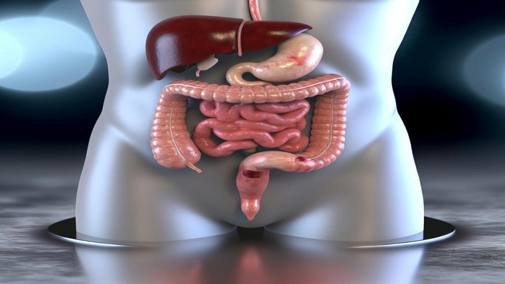 Gdzie jest wyrostek robaczkowy?